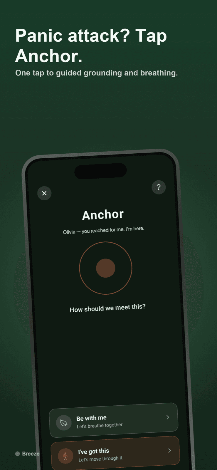 Breeze Anchor panic-relief flow